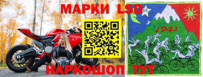 шишки Аргун