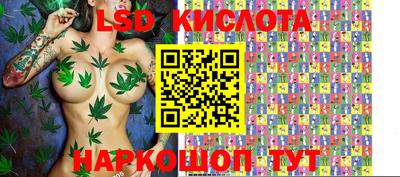 шишки Аргун