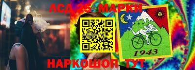 шишки Аргун