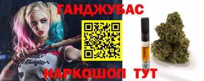 шишки Аргун