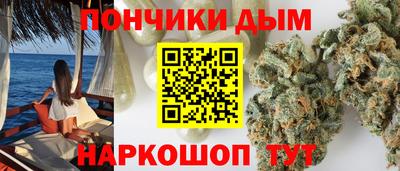 шишки Аргун