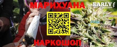 шишки Аргун